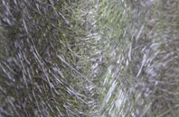 Gransmoor fibreglass roof work